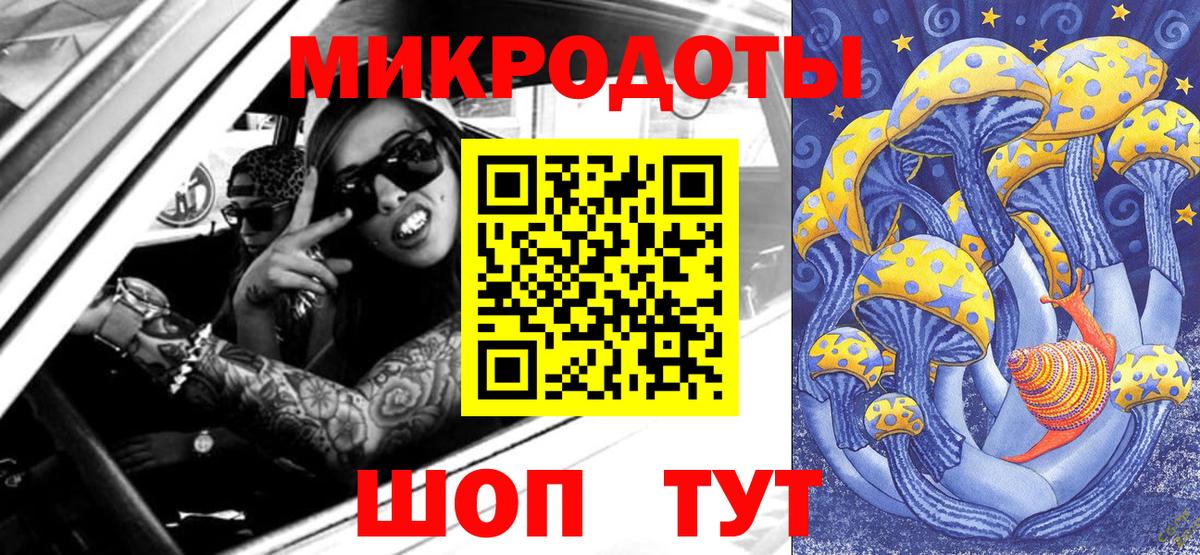 Псилоцибиновые грибы Psilocybe  Вход с VPN  Саров 